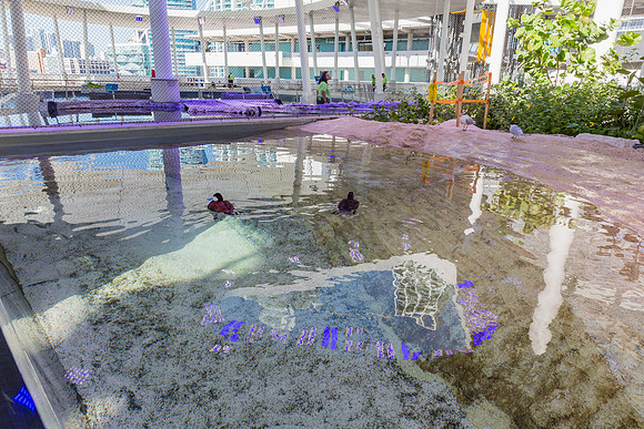 20170508_Science_Museum_9C7C5282