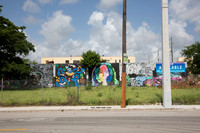 20160804_Wynwood_9C7C0176