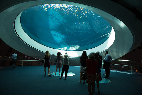 20170508_Science_Museum_9C7C5453