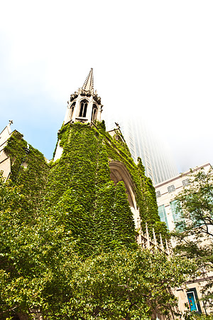 0015_DG_Chicago_USA_2009_5L8Y0791