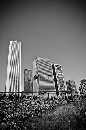 0015_DG_Chicago_USA_2009_5L8Y1148