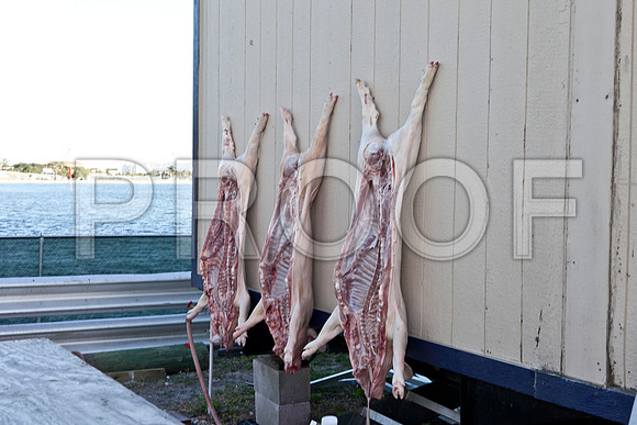 7023_DG_MAM_Project_Miami_FL-IMG_5529