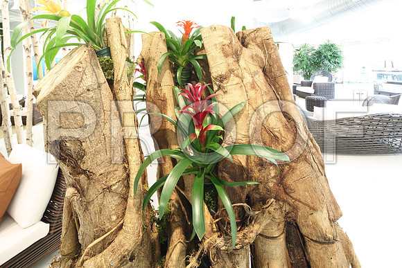 20140402_Artefacto_9C7C3021