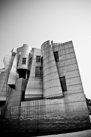 0017_DG_Minneapolis_Minnesota_South_5L8Y3757