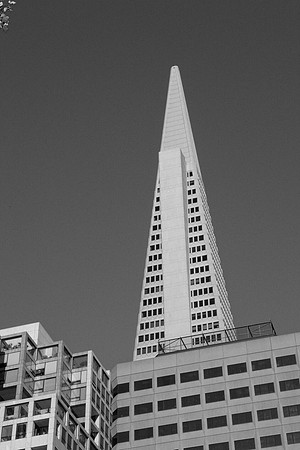 0027_DG_San_Francisco_CA_USA_2009_5L8Y1541