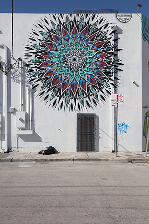 20161122_Wynwood_S5D1629