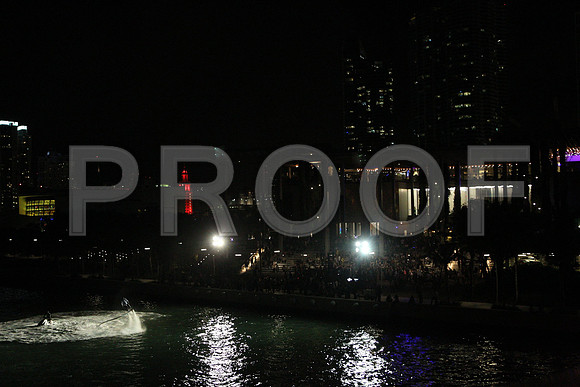 20141204_Pamm_Basel_2014_AL1B6612