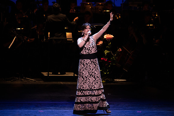 20160421_Arsht_10th_Anniversary_Galla_S5A4423