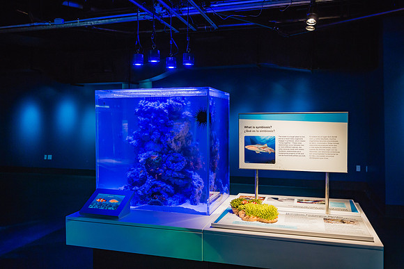 20170508_Science_Museum_9C7C5384