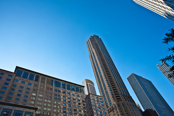 0015_DG_Chicago_USA_2009_0015_DG_Chicago_USA_2009_5L8Y1662