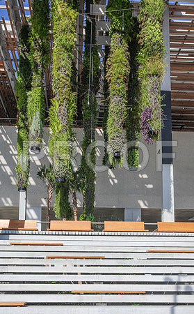 20140806_9C7C9685