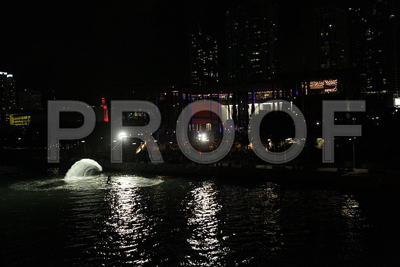 20141204_Pamm_Basel_2014_AL1B6525